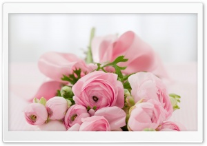 Pink Flowers Bridal Bouquet Ultra HD Wallpaper for 4K UHD Widescreen desktop, tablet & smartphone