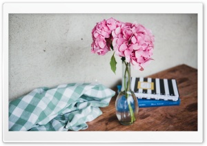 Pink Hydrangea Flowers in Vase, Table Ultra HD Wallpaper for 4K UHD Widescreen desktop, tablet & smartphone