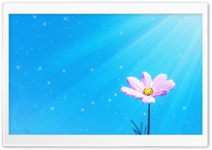 Pink in Blue Ultra HD Wallpaper for 4K UHD Widescreen desktop, tablet & smartphone