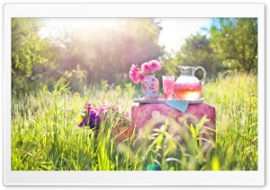 Pink Lemonade Ultra HD Wallpaper for 4K UHD Widescreen desktop, tablet & smartphone