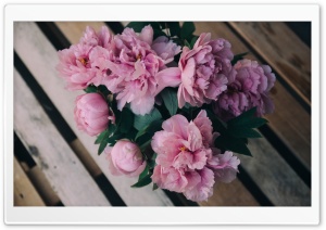 Pink Peonies Flowers in Vase Ultra HD Wallpaper for 4K UHD Widescreen desktop, tablet & smartphone