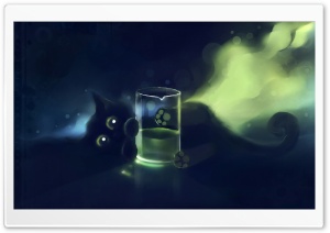 Playful Black Kitten Ultra HD Wallpaper for 4K UHD Widescreen desktop, tablet & smartphone