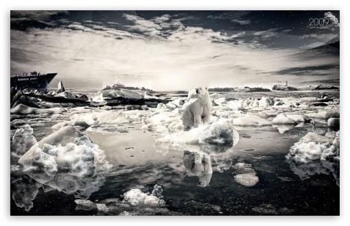 Polar Bear On Melting Ice UltraHD Wallpaper for Wide 16:10 5:3 Widescreen WHXGA WQXGA WUXGA WXGA WGA ; 8K UHD TV 16:9 Ultra High Definition 2160p 1440p 1080p 900p 720p ; Mobile 5:3 16:9 - WGA 2160p 1440p 1080p 900p 720p ;