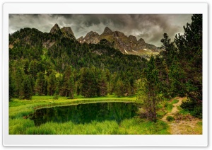 Pond In Forest High Mountain Ultra HD Wallpaper for 4K UHD Widescreen desktop, tablet & smartphone