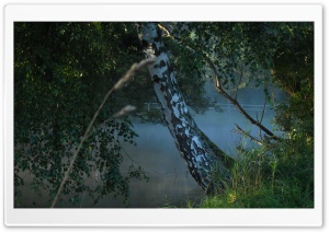 Poranek, Rzeka I Drzewa Ultra HD Wallpaper for 4K UHD Widescreen desktop, tablet & smartphone