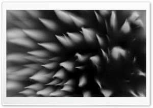 Powder Ultra HD Wallpaper for 4K UHD Widescreen desktop, tablet & smartphone