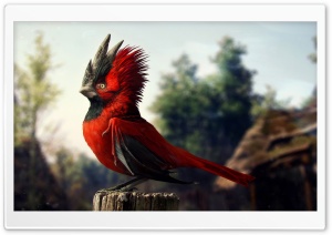 Prehistoric Bird Ultra HD Wallpaper for 4K UHD Widescreen desktop, tablet & smartphone