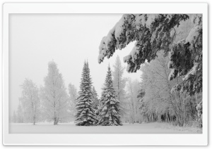 Pretty Winter Scenery Ultra HD Wallpaper for 4K UHD Widescreen desktop, tablet & smartphone