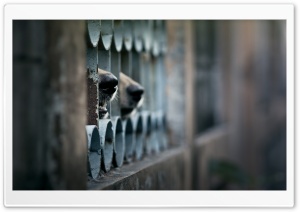 Prison Ultra HD Wallpaper for 4K UHD Widescreen desktop, tablet & smartphone