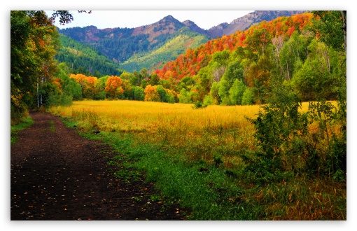 Provo Canyon Fall Colors 4k Hd Desktop Wallpaper For 4k Ultra