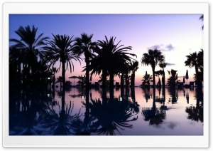 Purple Paradise Ultra HD Wallpaper for 4K UHD Widescreen desktop, tablet & smartphone