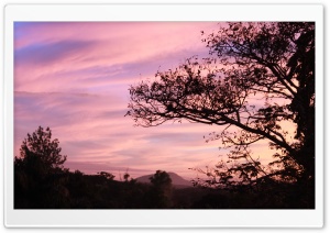 Purple Sky Ultra HD Wallpaper for 4K UHD Widescreen desktop, tablet & smartphone
