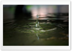 Rain Drop Ultra HD Wallpaper for 4K UHD Widescreen desktop, tablet & smartphone