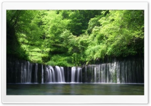 Rain Forest Ultra HD Wallpaper for 4K UHD Widescreen desktop, tablet & smartphone