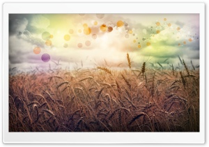 Rainbow Country Ultra HD Wallpaper for 4K UHD Widescreen desktop, tablet & smartphone