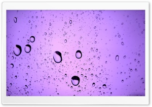 Rainy Mood Ultra HD Wallpaper for 4K UHD Widescreen desktop, tablet & smartphone