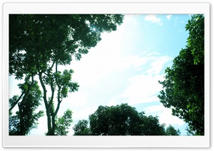 Raj Skies Ultra HD Wallpaper for 4K UHD Widescreen desktop, tablet & smartphone