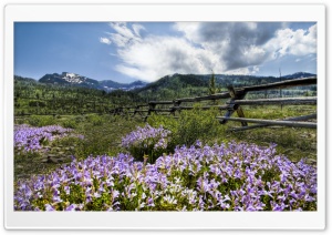 Ranch In Montana Ultra HD Wallpaper for 4K UHD Widescreen desktop, tablet & smartphone