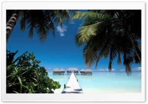 Rangali Island, Maldives Ultra HD Wallpaper for 4K UHD Widescreen desktop, tablet & smartphone