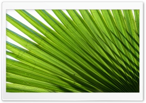 Range Ultra HD Wallpaper for 4K UHD Widescreen desktop, tablet & smartphone