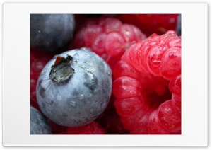 raspberries Ultra HD Wallpaper for 4K UHD Widescreen desktop, tablet & smartphone
