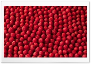 Raspberries, Bokeh Ultra HD Wallpaper for 4K UHD Widescreen desktop, tablet & smartphone