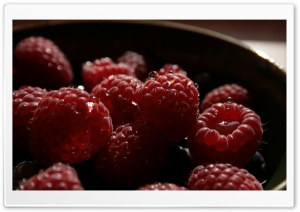 Raspberries Water Drops Ultra HD Wallpaper for 4K UHD Widescreen desktop, tablet & smartphone