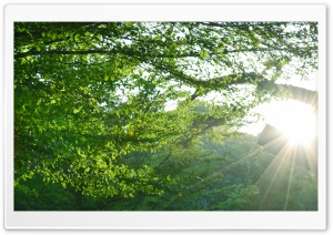 Rays Ultra HD Wallpaper for 4K UHD Widescreen desktop, tablet & smartphone