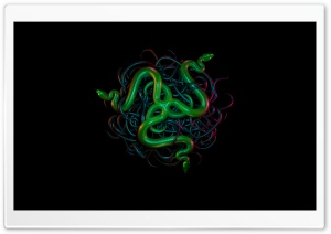 Razer Snakes Background Ultra HD Wallpaper for 4K UHD Widescreen desktop, tablet & smartphone