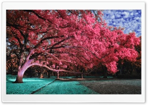 Reach Out Ultra HD Wallpaper for 4K UHD Widescreen desktop, tablet & smartphone