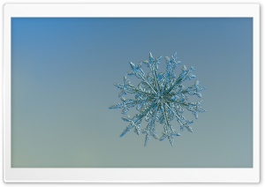 Real Snowflake Falling Up Close Ultra HD Wallpaper for 4K UHD Widescreen desktop, tablet & smartphone