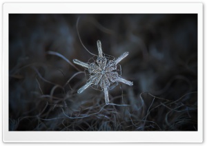 Real Snowflake Macro Ultra HD Wallpaper for 4K UHD Widescreen desktop, tablet & smartphone