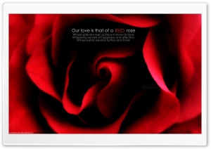 RED Ultra HD Wallpaper for 4K UHD Widescreen desktop, tablet & smartphone