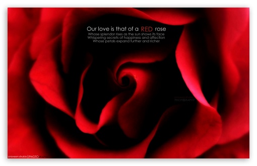 RED UltraHD Wallpaper for Wide 16:10 Widescreen WHXGA WQXGA WUXGA WXGA ;