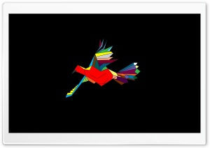 Red Bird in Black Ultra HD Wallpaper for 4K UHD Widescreen desktop, tablet & smartphone