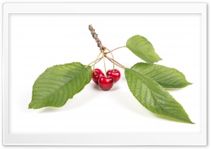 Red Cherries, Green Leaves, Spring Fruits Ultra HD Wallpaper for 4K UHD Widescreen desktop, tablet & smartphone