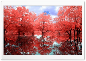 Red Creek Ultra HD Wallpaper for 4K UHD Widescreen desktop, tablet & smartphone