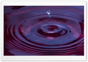 Red Drop Ultra HD Wallpaper for 4K UHD Widescreen desktop, tablet & smartphone