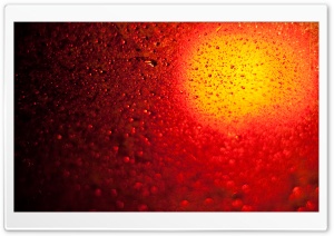 Red Drops Ultra HD Wallpaper for 4K UHD Widescreen desktop, tablet & smartphone