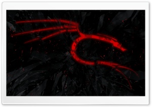 red Kali dragon Ultra HD Wallpaper for 4K UHD Widescreen desktop, tablet & smartphone