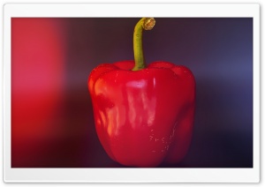 Red Pepper Ultra HD Wallpaper for 4K UHD Widescreen desktop, tablet & smartphone