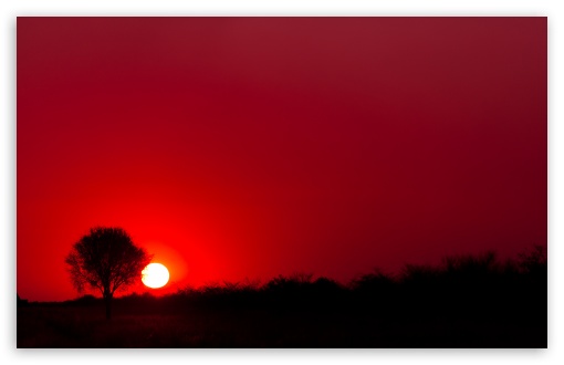 Red Sunset, Botswana, Africa UltraHD Wallpaper for Wide 16:10 5:3 Widescreen WHXGA WQXGA WUXGA WXGA WGA ; UltraWide 21:9 24:10 ; 8K UHD TV 16:9 Ultra High Definition 2160p 1440p 1080p 900p 720p ; UHD 16:9 2160p 1440p 1080p 900p 720p ; Standard 4:3 5:4 3:2 Fullscreen UXGA XGA SVGA QSXGA SXGA DVGA HVGA HQVGA ( Apple PowerBook G4 iPhone 4 3G 3GS iPod Touch ) ; Smartphone 16:9 3:2 5:3 2160p 1440p 1080p 900p 720p DVGA HVGA HQVGA ( Apple PowerBook G4 iPhone 4 3G 3GS iPod Touch ) WGA ; Tablet 1:1 ; iPad 1/2/Mini ; Mobile 4:3 5:3 3:2 16:9 5:4 - UXGA XGA SVGA WGA DVGA HVGA HQVGA ( Apple PowerBook G4 iPhone 4 3G 3GS iPod Touch ) 2160p 1440p 1080p 900p 720p QSXGA SXGA ; Dual 16:10 5:3 16:9 4:3 5:4 3:2 WHXGA WQXGA WUXGA WXGA WGA 2160p 1440p 1080p 900p 720p UXGA XGA SVGA QSXGA SXGA DVGA HVGA HQVGA ( Apple PowerBook G4 iPhone 4 3G 3GS iPod Touch ) ;