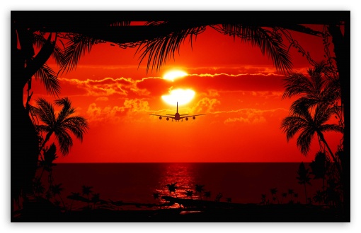 Red Tropical Sunset Ultra HD Desktop Background Wallpaper for 4K UHD TV :  Widescreen & UltraWide Desktop & Laptop : Tablet : Smartphone
