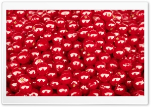 Redcurrant Ultra HD Wallpaper for 4K UHD Widescreen desktop, tablet & smartphone