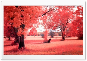 Redscape Ultra HD Wallpaper for 4K UHD Widescreen desktop, tablet & smartphone