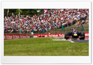 Ricciardo Formula 1 Ultra HD Wallpaper for 4K UHD Widescreen desktop, tablet & smartphone