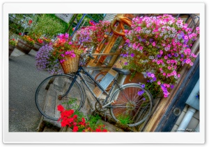 Ride On Ultra HD Wallpaper for 4K UHD Widescreen desktop, tablet & smartphone
