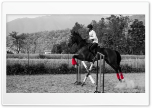 Riding A Horse, Nature Ultra HD Wallpaper for 4K UHD Widescreen desktop, tablet & smartphone