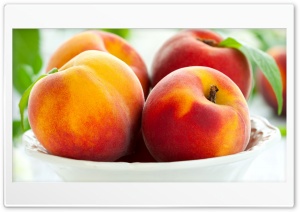 Ripe peaches Ultra HD Wallpaper for 4K UHD Widescreen desktop, tablet & smartphone