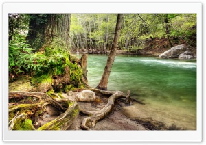 River Shore HDR Ultra HD Wallpaper for 4K UHD Widescreen desktop, tablet & smartphone